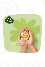 Naturella egészségügyi betét Ultra Kamilla Normal XL Duo 20 Kép